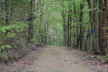 Trail Bingo: An adventure that’s perfect for the whole family