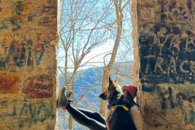 Every Adventure’s Better with a Wagging Tail