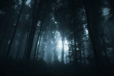 Tales by the Fire: Spooky Stories of the Raystown Lake Region