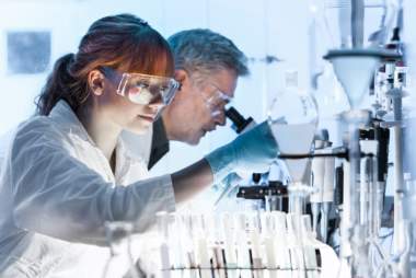 People working in laboratory