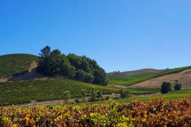 Q&A with Sonoma County Tourism: how Visit Widget boosted the “Sonoma County App Experience Giveaway”