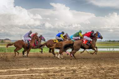 Horse Racing