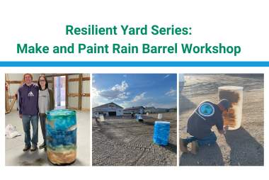 Resilient Yard Series: Make and Paint Rain Barrel Workshop