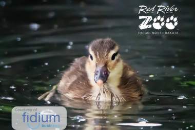 Mother's Day at the Zoo