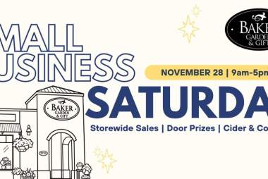 Small Business Saturday