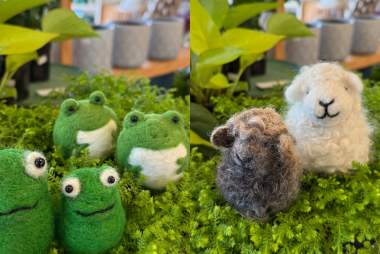 Needle Felting Frogs or Sheep