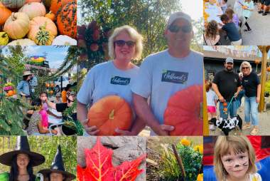 Pumpkinpalooza