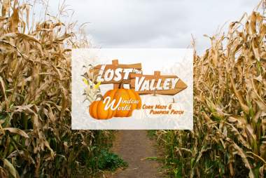 Lost in the Valley