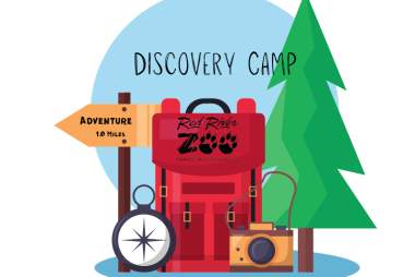Discovery Camp