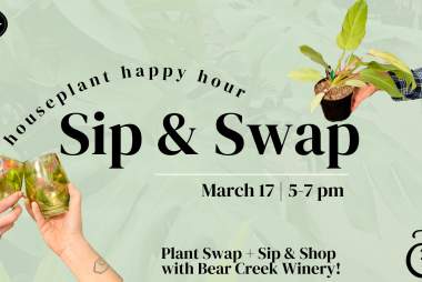 Sip & Swap