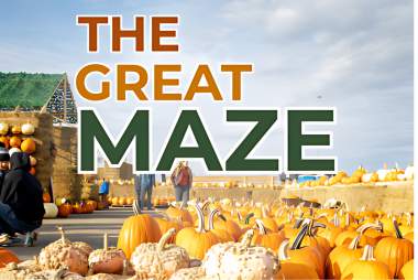 The Great Maze