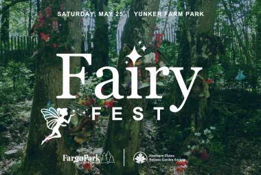 Fairy Fest