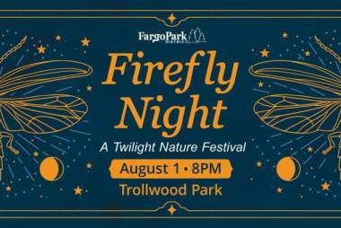 Firefly Night