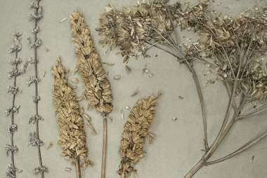 Exploring North Dakota's Native & Endangered Species