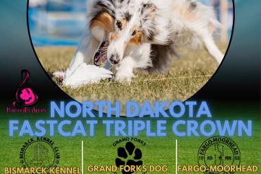 FastCAT Triple Crown