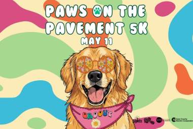 Paws on the Pavement