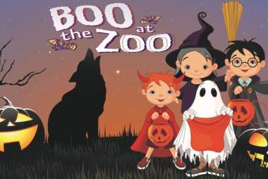 Boo at the Zoo