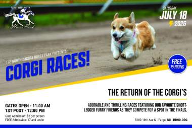 Corgi Races