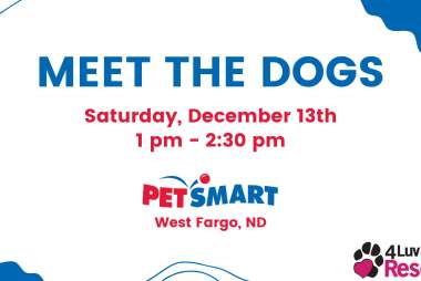 Meet the Dogs at PetSmart