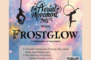 FrostGlow: Winter Aerial Showcase