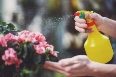 Gardening & Pesticides