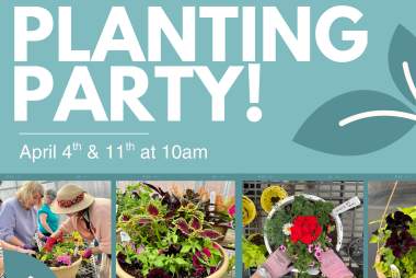 Planting Party!