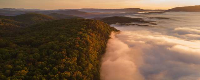 Allegany-Aerial-Beauty-Shot