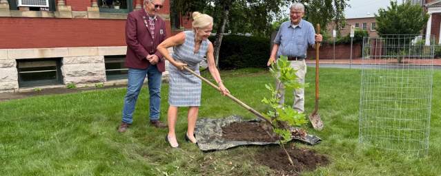 Community members planting a Liberty Tree descendant on the grounds of the Allegany County Courthouse in Cumberland, Maryland.