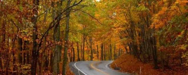 Fall Colors on the Byway_Flintstone MD