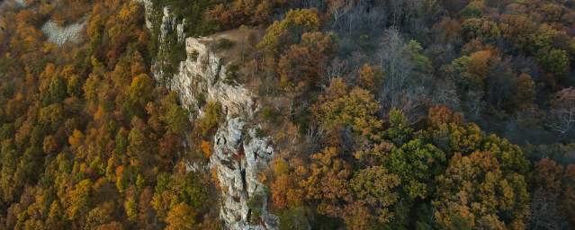 Fall on Wills Mountain-Cumberland MD