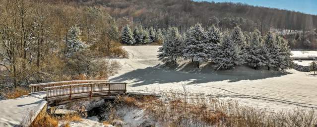 Must-Do Winter Activities