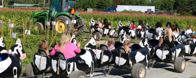 Lakeland Orchard & Cidery