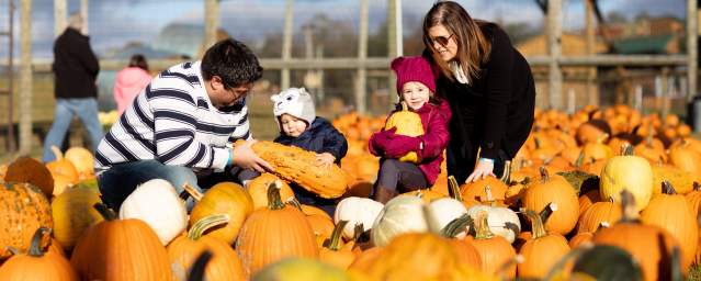 Roba Family Farms