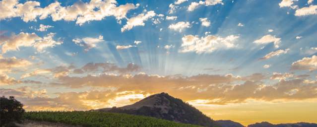 Sunrays over a mountain with a vineyard in the foreground