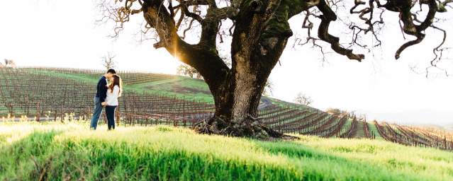 Romantic Vineyard