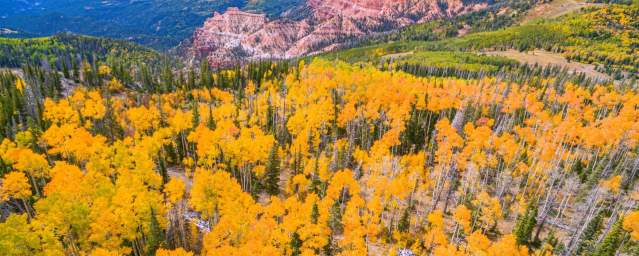 Cedar City Fall Scenic Drives