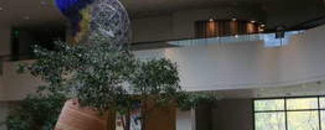 BYU Museum Tour