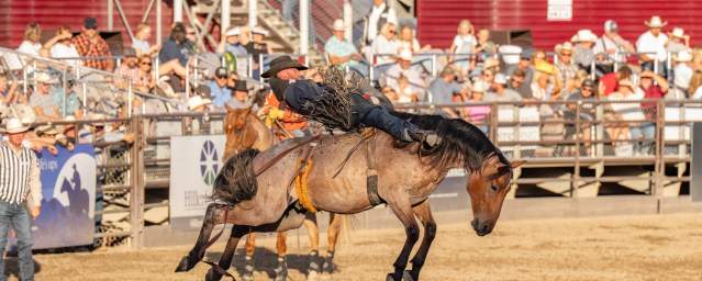 Rodeo