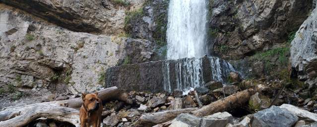 Upper Falls Trail in Provo Canyon
