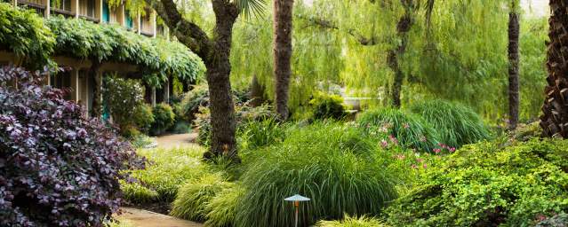 Stay 2 Nights in Wine Country & Your 3rd Night to Recover is on Us!