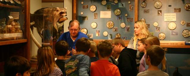 The Hutchings Museum