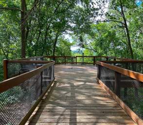 Viewing platform at Waterloo State Recreation Area