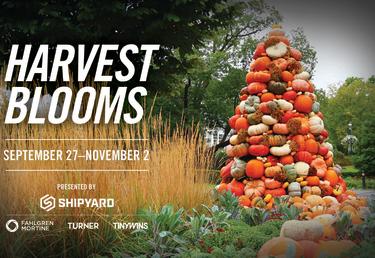 Brewing Locally Image