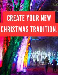 Create your new Christmas tradition - Christmas light trail at Westonbirt Arboretum - CREDIT Visit West
