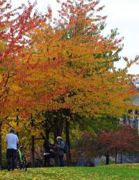 Autumnal Castle Park in central Bristol - credit Visit West