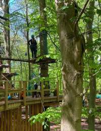 Tree top high ropes course - credit Adventure Bristol