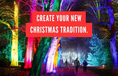 Create your new Christmas tradition - Christmas light trail at Westonbirt Arboretum - CREDIT Visit West