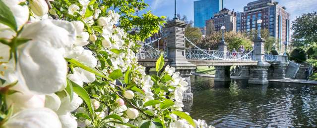 PublicGarden_KyleKlein_KK4_3406