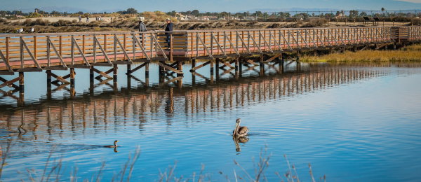 Bolsa Chica Wetlands