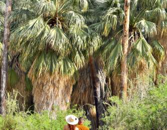 Couple walking on hiking path with palm trees
